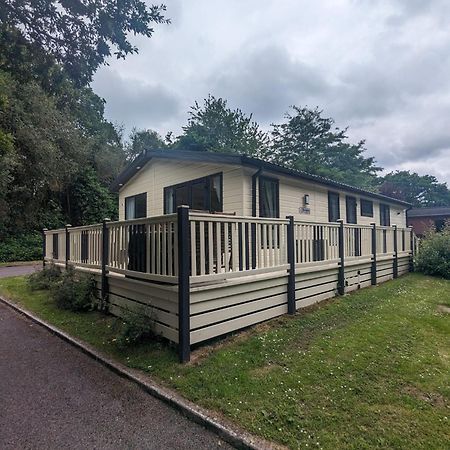 Luxury Stunning Sensation Lodge On 5 Star Shorefield Country Park New Forest Entertainment And Leisure Passes Included Milford on Sea Kültér fotó